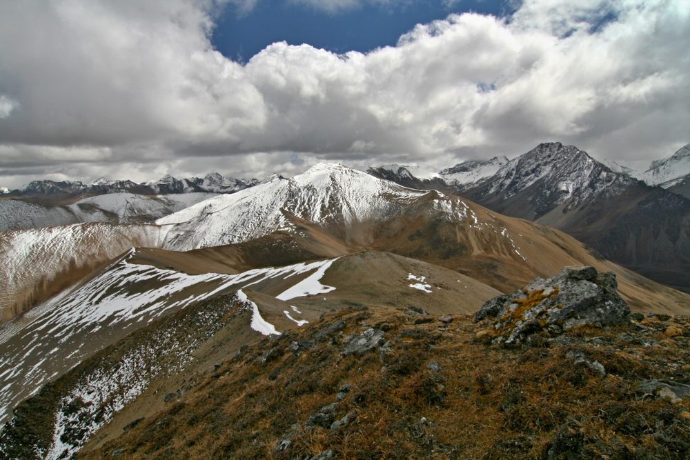 Jigme Singye Wangchuck National Park